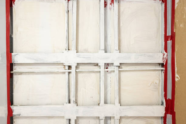 Best Commercial Mold Inspection  in Dayton, NV