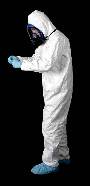 Best Basement Mold Removal  in Dayton, NV