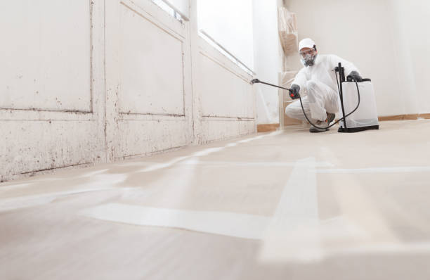 Biohazard Mold Removal in Dayton, NV